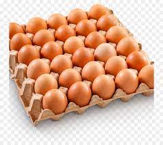 Check spelling or type a new query. Easter Egg Background