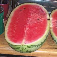 A very popular watermelon of gardeners. Watermelon Jubilee St Clare Heirloom Seeds Heirloom And Open Pollinated Vegetable Flower And Herb Garden Seeds
