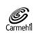 Logo de Grupo Carmehil