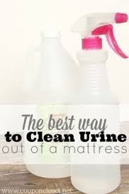 How To Clean Pee Out Of A Mattress Coupon Closet Cleaning House Cleaning Tips Deep Cleaning Tips