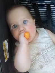 Chuck me some dinner ideas for 7 month old please 🙏