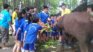 Jam berapa alas prambon buka. Outbound Edukasi Alas Prambon Sidoarjo 082335611999 085728945777