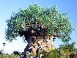 Animal Kingdom Tree Of Life Awesome Animal Kingdom Disney Disney World Vacation Disney World Parks