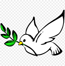 Everything you need from the video: Dove Clipart Hope Transparent Background Dove Clipart Png Image With Transparent Background Toppng
