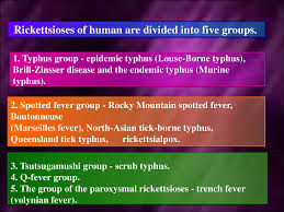 Epidemic typhus still can be a serious threat in parts of the world where a breakdown in society or a natural calamity such as an earthquake leads to unhealthy living conditions. Rickettsiosis Prezentaciya Onlajn