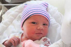 Fotogalerie: Miminka Středočeský kraj, 35. týden roku 2024