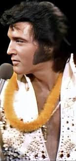 Elvis Presley shining bright in Hawaii magic