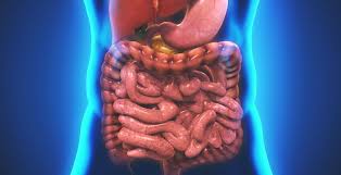 Digestive Enzymes Benefits Foods Functions And More Dr Axe