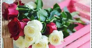 بحث عن صلاة الجمعة ومجموعة من الأدعية المستجابة ليوم الجمعة flowers rose plants