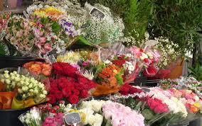 Check spelling or type a new query. The Definitive Guide To Making Fresh Cut Flowers Last Longer