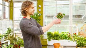 Are you feeling inspired to decorate your house now that we are staying at home during this period? 10 Best Indoor Garden Kits Hydroponic Systems In Singapore 2021