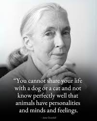 Cherryland Humane Society