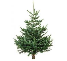 Am ales ornamente clasice rosu si auriu, am folosit panglici de organza pe post de beteala, am avut fluturi sclipitori si globuri de tot felul. Alergic A Urca Bowling Brad Emag Vehiculefarapilot Ro