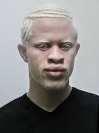 We did not find results for: Best 30 Shaun Ross Fun On 9gag