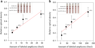 Search for more caves at similar levels, or switch to the next method: Visual Signal Generation For The Detection Of Influenza Viruses By Duplex Recombinase Polymerase Amplification With Lateral Flow Dipsticks Springerlink