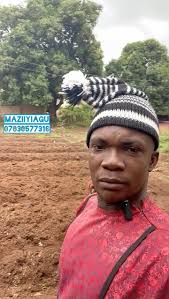 E no go better for that onye obioma wey sew that trouser for our presido 🤣  Laugh and share