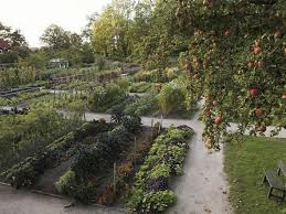 Aw Architektur Wohnen Knollenpflanzen Kuchengarten Garten