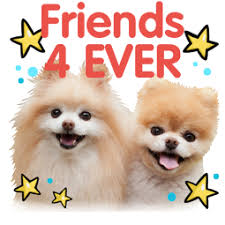 Facebook Messenger Boo And Buddy Sticker 3 Free Download In 2020 Boo And Buddy Buddy Boo The Cutest Dog