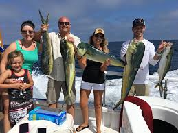 Coletta Sport Fishing Charters Is A Fishing Charter Deep Sea Fishing And Best Charter Boat Service Located In Deep Sea Fishing Fishing Charters Sport Fishing