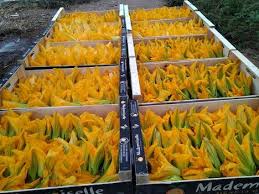 Flowers are the most magical of ingredients, turning an ordinary green salad into a flowery meadow! France Offers A Promising Market For Edible Flowers