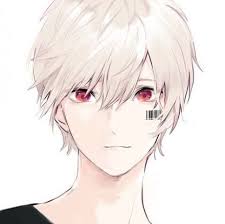 Black And White Hair Color Anime Hair Color Grey White 25 Super Ideas Anime Guys Anime Cute Anime Guys