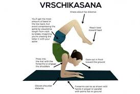 How To Do The Vrschikasana And What Are Its Benefits Yoga Inversions Yoga Asanas Yoga For Flexibility