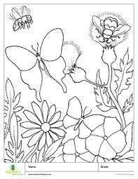 Have fun discovering pictures to print and drawings to color. Butterfly Color Page By Nature S Schoolyard Teachers Pay Teachers