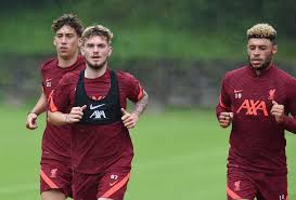 Aug 08, 2021 · elliott has enjoyed plenty of game time in recent weeks, building upon an extremely impressive loan spell at blackburn rovers last season. Harvey Elliott And Mateusz Musialowski Could Spare Millions For Liverpool