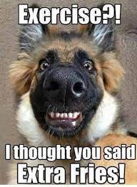 Download for free on your phone or computer! 24 Funny Animals With Captions Lol Diybuddy Funny Animal Memes Cute Funny Animals Dog Jokes