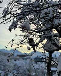 Mai La Vang (@maila.vang_) • Instagram photos and videos