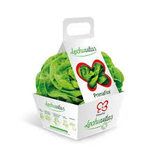 Pin Di Structural Packaging Design And Product Innovation