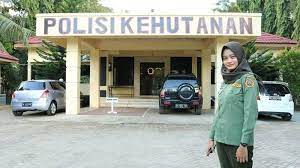 We did not find results for: Jadi Polhut Begini Pengalaman Eriana Susuri Hutan Naik Trail Hingga Jalan Kaki Banjarmasin Post