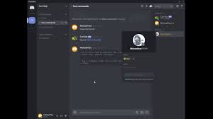 Makes a command usable by mods only: Carl Bot How To Role Custom Youtube