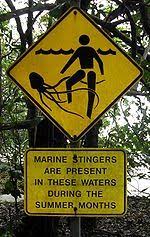 Box Jellyfish Warning Signpost At A Cape Tribulation Beach In Queensland Australia Australian Animals Australia Signs