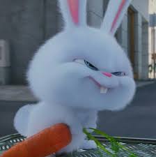  Pin Oleh Diana Chucari Di Cute Gambar Kelinci Animasi Disney Kartun