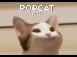 Popcat คืออะไร ดูจบเข้าใจ.มั้งนะ555 #popcat #แอนิเมเด๋อ #ตูนยัมกุ้ง #toonyumkung 9hrelvuuwbsllm