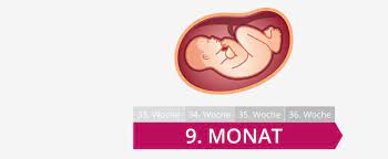 Kaum zu glauben, aber bereits ab der 5. 9 Schwangerschaftsmonat Mutter Bauch Baby Im 9 Monat
