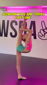 PART ONE 🚨🚨 TIPS & TRICKS ✨, 🦂🦂 SCORPION DRILLS 🦂🦂, MR WIL AND  SAVANNAH 🌟, Before we get into the Scorpions there is a good amount of  groundwork to do first - this is a daily routine for all our up ...