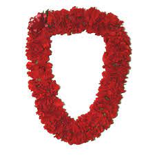 Hawaiian Double Carnation Lei Carnations Hawaiian Lei Carnation Flower