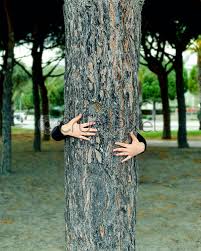 14175 sw 140th ct, beaverton (or), 97008, united states. Concept Of Care Of Nature And The Planet Stock Photo Crushpixel