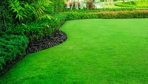 We are locally owned and operated and ready to make you one of our all season lawn care satisfied customers! Lawn Care Fertilization Landscape Design Lawn Grounds Maintenance Indianapolis In Indiana