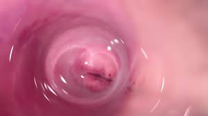 Camera Deep Inside Mia's Creamy Pussy, Teen Cervix Close-Up | xHamster