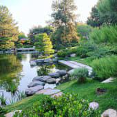 Japanese Friendship Garden Of Phoenix Arizona Volunteer Opportunities Volunteermatch