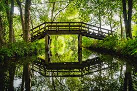 Lerne die beliebten sehenswürdigkeiten in lübben/spreewald kennen. Spreewald Ausflugsziele Sehenswurdigkeiten Tipps