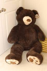 Pin On Costco Bear