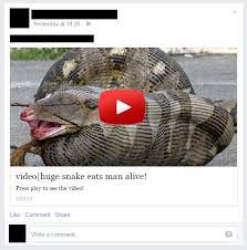 Huge Snake Eats Man Alive Video Scam Spreads On Facebook Malwarebytes Labs Malwarebytes Labs
