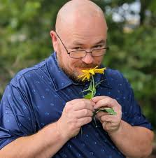 Is beekeeping allowed within city limits in Haysville?