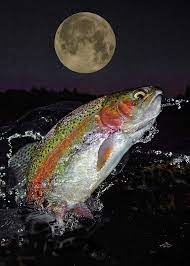 The Wolf Moon By Brian Pelkey Trout Art Fish Fishing Pictures