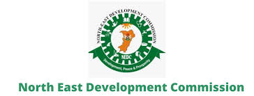 North East Nigeria: Development to the rescue – Daily Trust