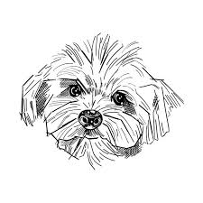 Check Out This Awesome Line Art Poodle Design On Teepublic Dog Line Art Animal Art Dog Drawing